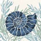 Ammonite Shell II - Indigo Art Print
