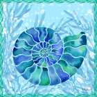 Ammonite Shell II Art Print