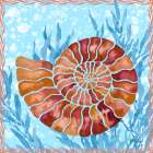 Ammonite Shell III Art Print