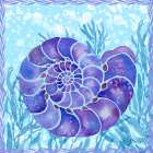 Ammonite Shell IV Art Print