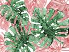 Beverly Hills Palm Fronds Horizontal Art Print