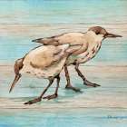 Coastal Teak I Art Print