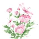 Province Peonies and Dragonflies Art Print