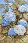 Impressions of Hydrangeas VI Art Print