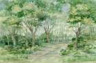 Verdant Forest Pathway Art Print