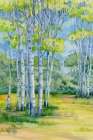 Spring Scape Birch Forest Art Print