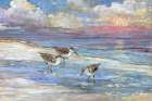 Impressions of Sandpipers II Art Print