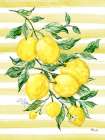 Juicy Lemon Vine Vertical Art Print