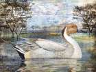Pintail Pond Horizontal Art Print