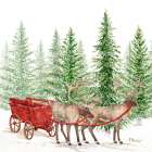 Northern Forest Reindeer Sleigh Art Print