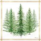 Northern Forest Bunch Art Print