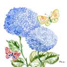 Brushstroke Florals and Butterflies I Art Print