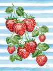 Juicy Strawberry Vine Vertical Art Print