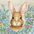 Rabbit Laurel - Wood Art Print