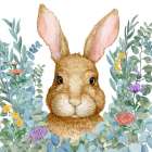 Rabbit Laurel - White Art Print
