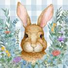 Rabbit Laurel├é┬á Art Print