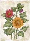 Floral Journal VIII - Multicolor Art Print