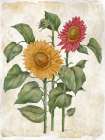 Floral Journal IX - Multicolor Art Print