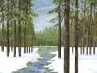 Snowbank Forest Horizontal Art Print
