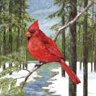 Snowbank Forest Cardinal Art Print