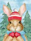 Snow Bunny Vertical├é┬á Art Print