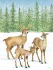 Winter Deer Family Art Print
