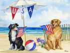 Flag-Waving Dog Beach Art Print