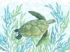 Tasman Turtle I Art Print