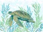 Tasman Turtle II Art Print