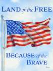 Land of the Free Flag - Sky Art Print