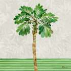Bora Bora Palm Tree I Art Print