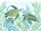 Tasman Turtle Trio Art Print
