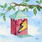 Hanging Bird House II ΓÇô Colorful Art Print