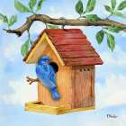Hanging Bird House III ΓÇô Colorful Art Print