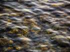 Abstract 16 Art Print