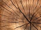 Abstract 4 Art Print