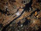 Aerial 1 Art Print