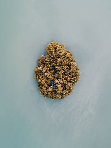 Aerial 13 Art Print by Rachel Lee