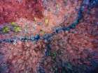 Aerial 2 Art Print