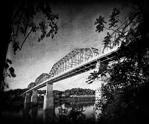 Afternoon Walnut BW Holga Art Print