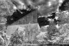 Aquarium 2 HDR BW Art Print