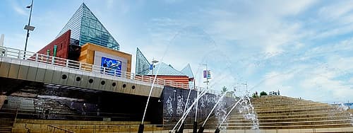 Aquarium Pano Landscape Print