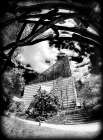 Aquarium Sun BW Holga Art Print