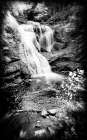 Bald River Falls Holga Art Print