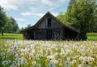 Barn 4 Art Print