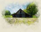 Barn 4 Watercolor Art Print