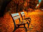 Bench 1 Art Print