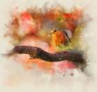 Bird 18 Watercolor Art Print