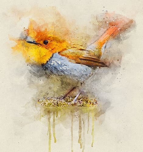 Bird 4 Watercolor Art Print