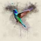 Bird 48 Watercolor Art Print